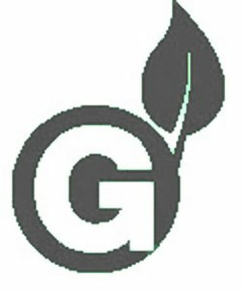 G Logo (USPTO, 03/30/2010)