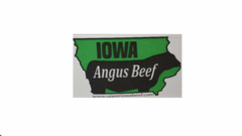 IOWA ANGUS BEEF WWW.UPPERIOWABEEF.COM Logo (USPTO, 04/07/2016)