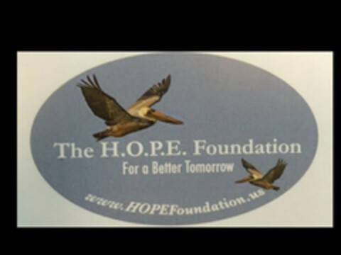 THE H.O.P.E. FOUNDATION FOR A BETTER TOMORROW WWW.HOPEFOUNDATION.US Logo (USPTO, 04.08.2016)