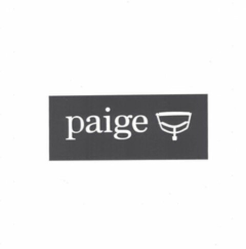 PAIGE Logo (USPTO, 31.10.2017)