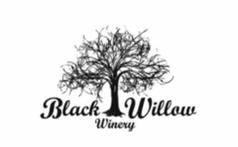 BLACK WILLOW WINERY Logo (USPTO, 09.01.2019)