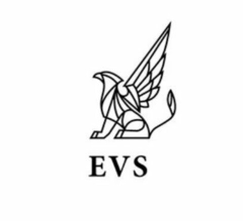 EVS Logo (USPTO, 03/23/2020)