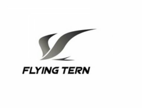 FLYING TERN Logo (USPTO, 04.08.2020)