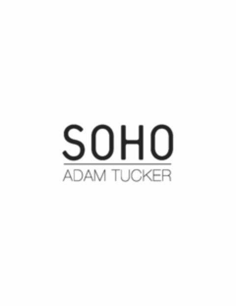 SOHO ADAM TUCKER Logo (USPTO, 28.09.2012)