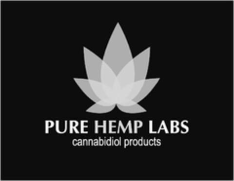 PURE HEMP LABS CANNABIDIOL PRODUCTS Logo (USPTO, 03/27/2017)