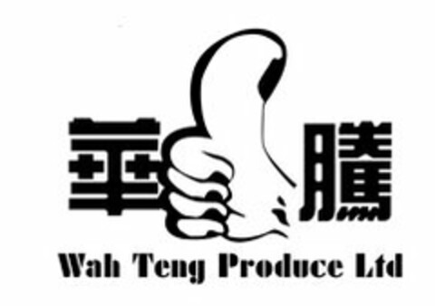 WAH TENG PRODUCE LTD. Logo (USPTO, 16.06.2017)