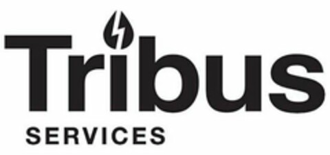 TRIBUS SERVICES Logo (USPTO, 01.07.2019)