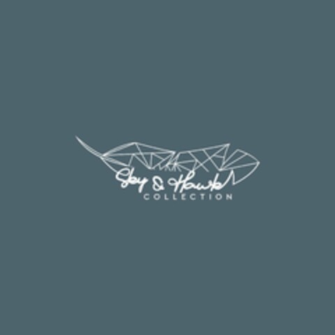 SKY & HAWK COLLECTION Logo (USPTO, 20.09.2020)