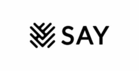 SAY Logo (USPTO, 12.06.2017)