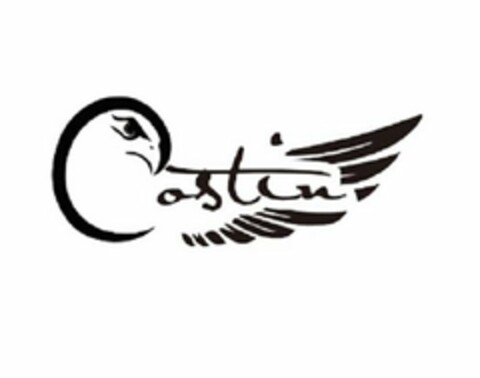 COSTIN Logo (USPTO, 20.09.2017)