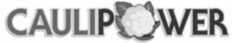 CAULIPOWER Logo (USPTO, 08.05.2019)