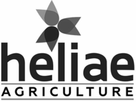 HELIAE AGRICULTURE Logo (USPTO, 03/16/2020)