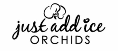 JUST ADD ICE ORCHIDS Logo (USPTO, 21.04.2009)