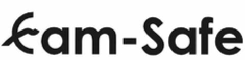 CAM-SAFE Logo (USPTO, 12.02.2019)