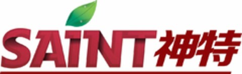 SAINT Logo (USPTO, 14.02.2019)