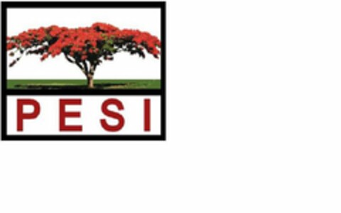 PESI Logo (USPTO, 07.07.2010)