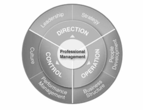 PROFESSIONAL MANAGEMENT DIRECTION LEADERSHIP STRATEGY OPERATION BUSINESS STRUCTURE PEOPLE DEVELOPMENT CONTROL CULTURE PERFORMANCE MANAGEMENT Logo (USPTO, 09.09.2013)