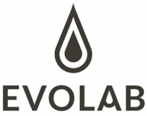 EVOLAB Logo (USPTO, 04.11.2015)