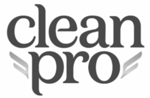 CLEAN PRO Logo (USPTO, 30.11.2018)