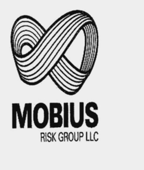 MOBIUS RISK GROUP LLC Logo (USPTO, 02.08.2013)