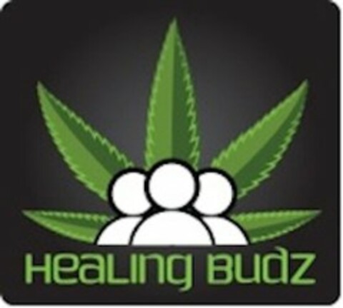 HEALING BUDZ Logo (USPTO, 03.05.2017)