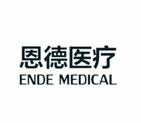 ENDE MEDICAL Logo (USPTO, 04/30/2020)