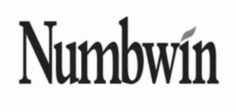 NUMBWIN Logo (USPTO, 05/23/2020)