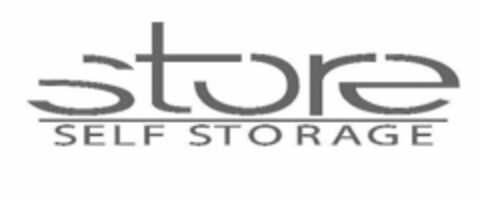 STORE SELF STORAGE Logo (USPTO, 16.01.2009)