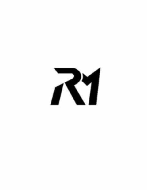 RM Logo (USPTO, 10.05.2011)