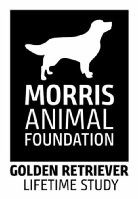 MORRIS ANIMAL FOUNDATION GOLDEN RETRIEVER LIFETIME STUDY Logo (USPTO, 07.11.2019)