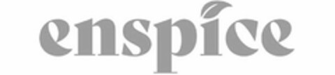 ENSPICE Logo (USPTO, 05/01/2020)