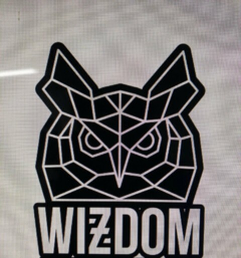 WIZDOM Logo (USPTO, 08.07.2020)