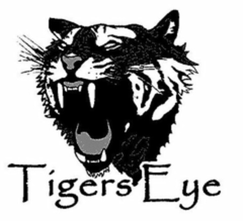 TIGERSEYE Logo (USPTO, 08/07/2009)