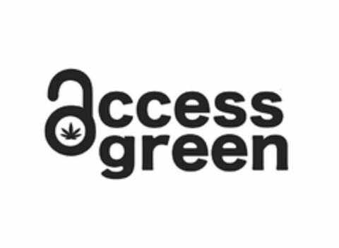 ACCESS GREEN Logo (USPTO, 06/29/2017)