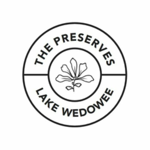 THE PRESERVES LAKE WEDOWEE Logo (USPTO, 23.10.2019)
