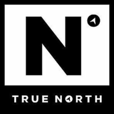 N TRUE NORTH Logo (USPTO, 03.02.2020)