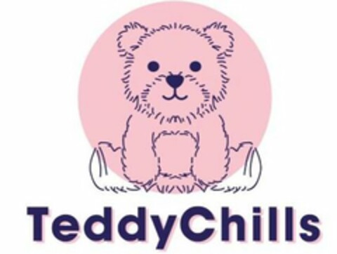 TEDDYCHILLS Logo (USPTO, 19.02.2020)