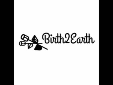 BIRTH2EARTH Logo (USPTO, 21.08.2020)