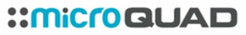 MICROQUAD Logo (USPTO, 28.11.2011)