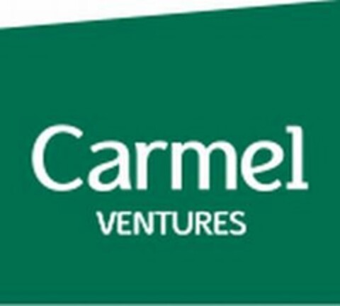 CARMEL VENTURES Logo (USPTO, 14.01.2015)