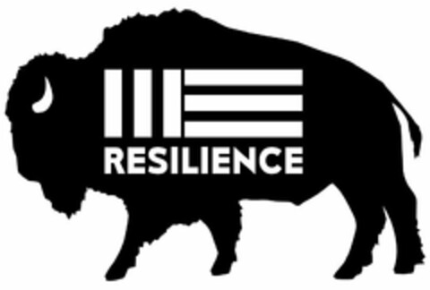 RESILIENCE Logo (USPTO, 19.06.2017)