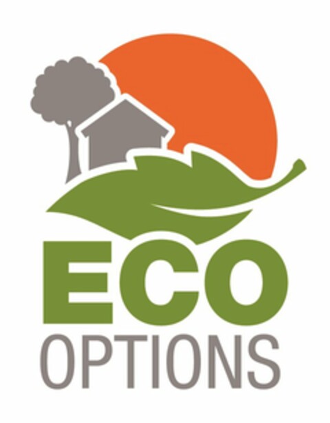 ECO OPTIONS Logo (USPTO, 17.07.2018)