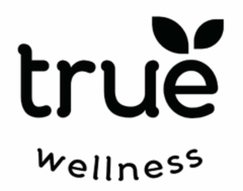 TRUE WELLNESS Logo (USPTO, 22.05.2020)