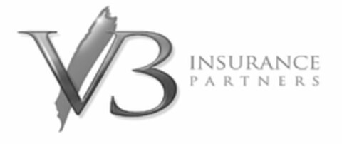 V3 INSURANCE PARTNERS Logo (USPTO, 20.10.2009)