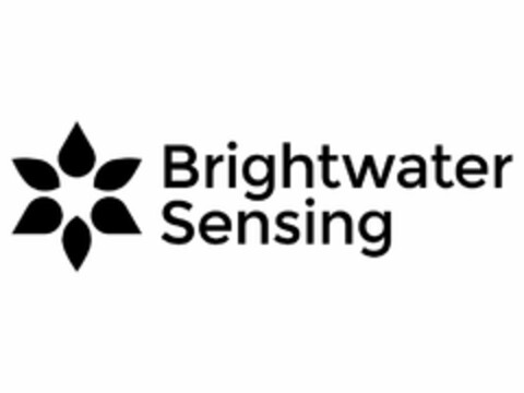 BRIGHTWATER SENSING Logo (USPTO, 06/30/2017)