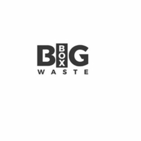 BIG BOX WASTE Logo (USPTO, 02/09/2018)