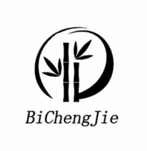 BICHENGJIE Logo (USPTO, 08/21/2020)