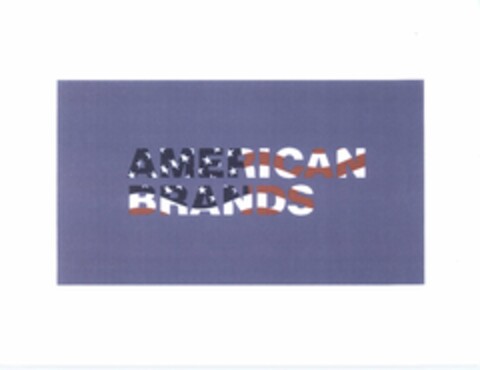 AMERICAN BRANDS Logo (USPTO, 12.02.2009)