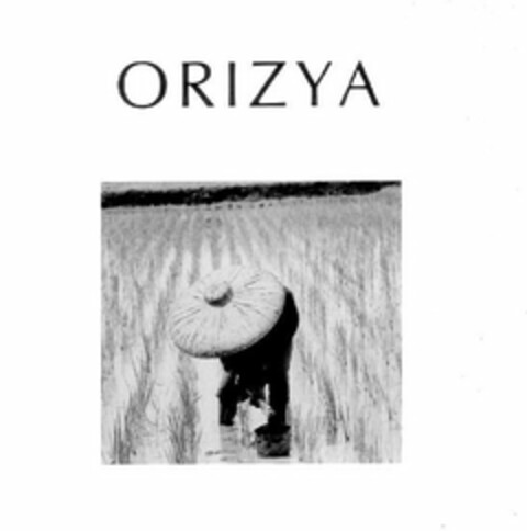 ORIZYA Logo (USPTO, 24.10.2016)