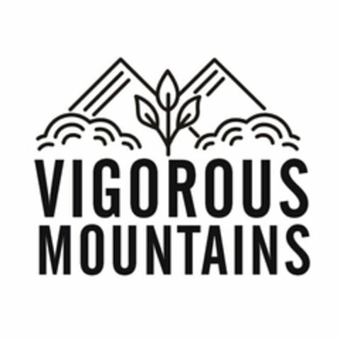 VIGOROUS MOUNTAINS Logo (USPTO, 06/03/2018)